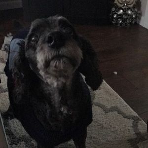 Meet your Posher, Tammy